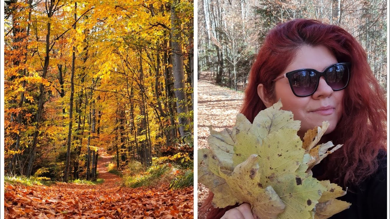 Turist pentru o zi in Sinaia: Plimbare pe poteca regala