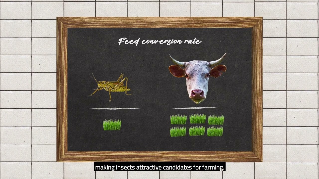 Novel foods: What are the ingredients of the future?
