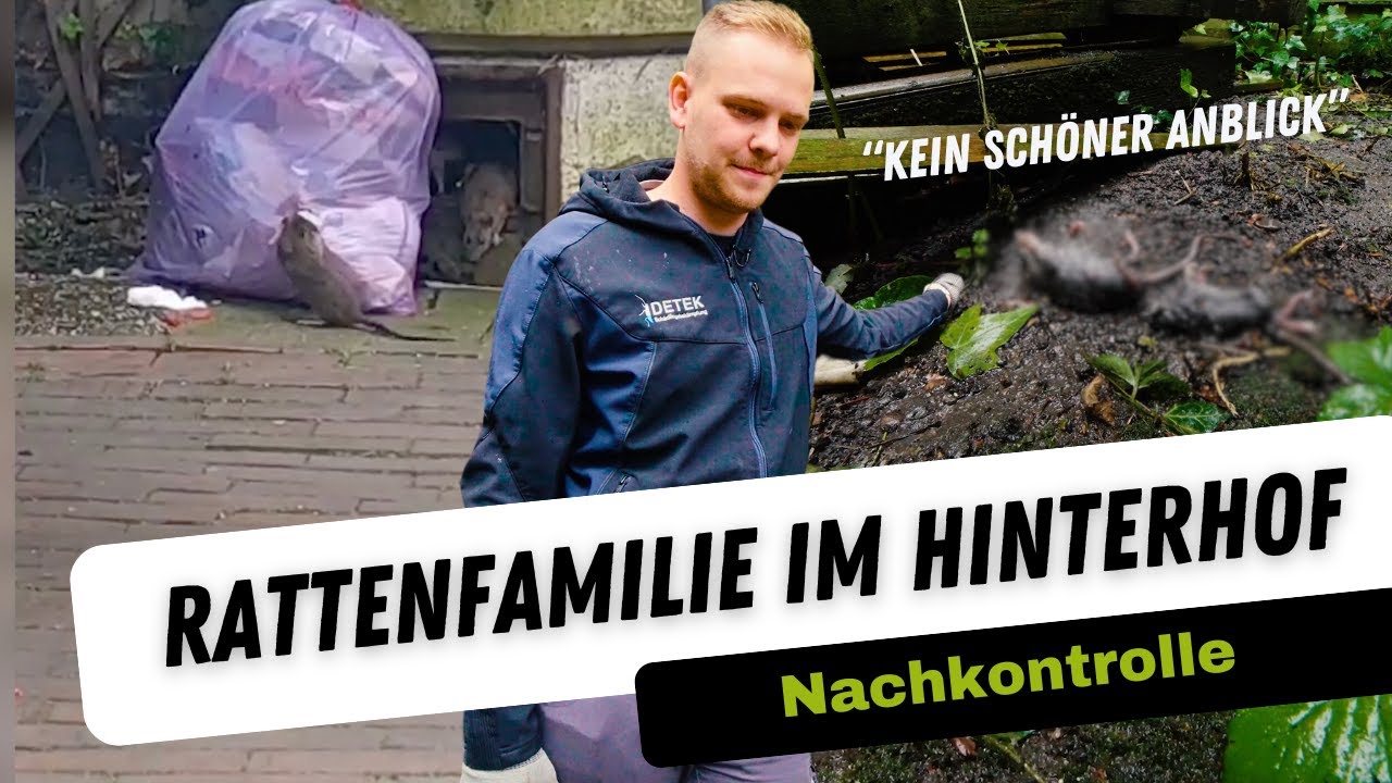 Ratten im Hinterhof: Warum desaströse Zustände ein Paradies für Ratten sind 🐀 | Kammerjäger on Tour