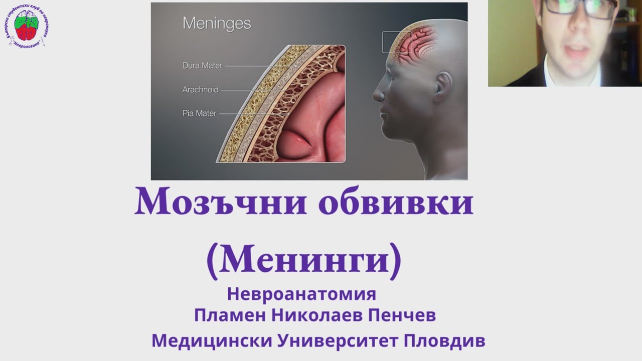 Анатомия и клинична анатомия на мозъчните обвивки (Менинги)