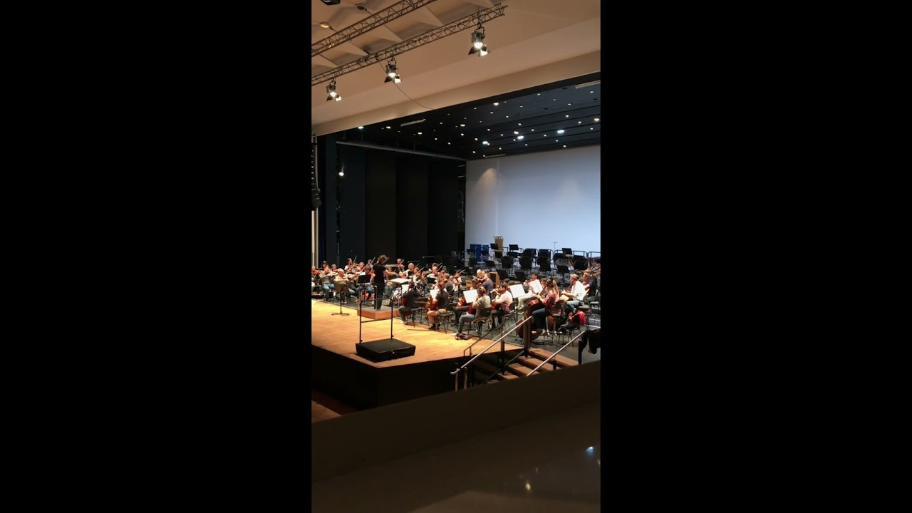 Jonny Greenwood - Suite from There will be Blood (for string orchestra and ondes Martenot - excerpt)