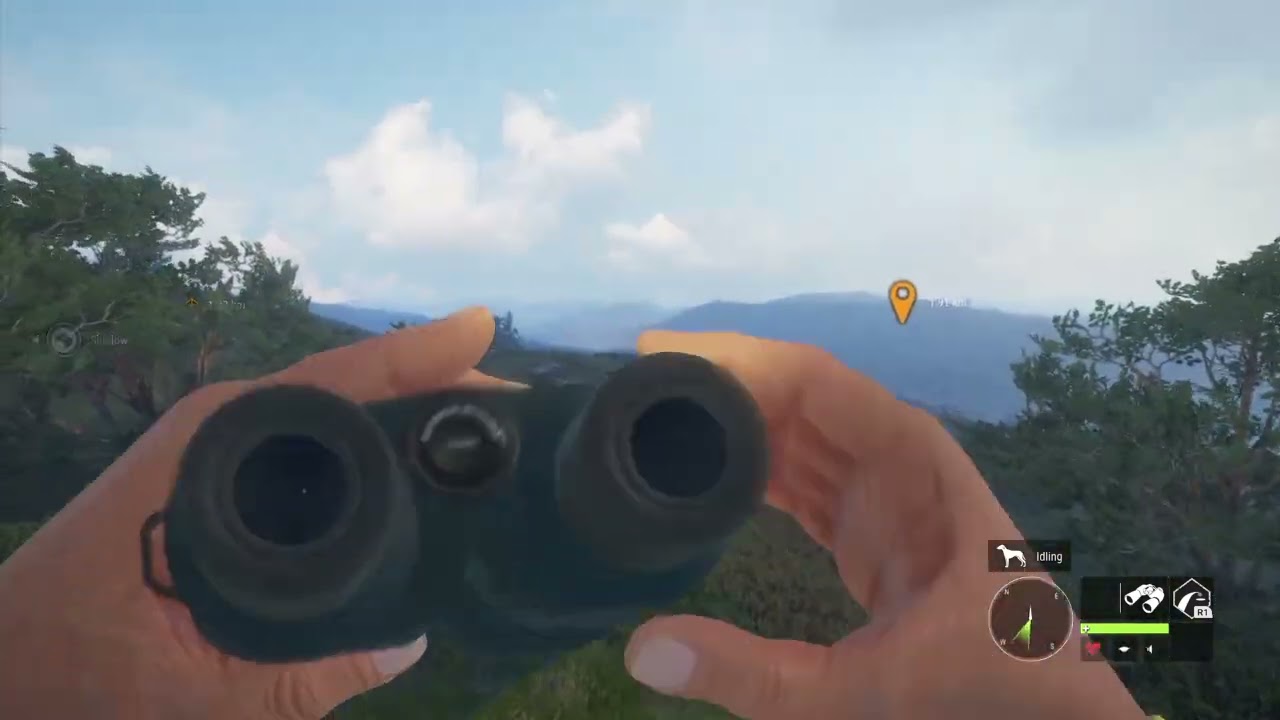 Long vid .Hunting rare pine marten