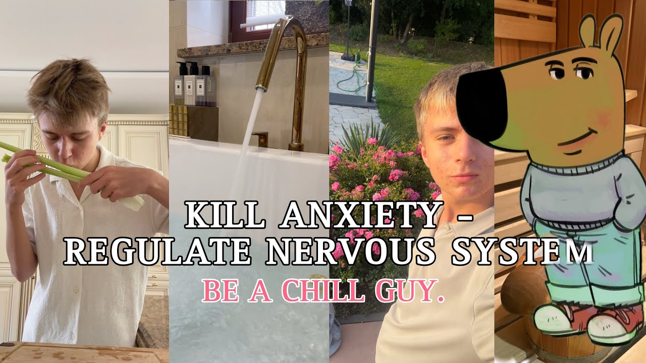 Regulate your Nervous System to be a CHILL GUY (for success, self love & good vibes)