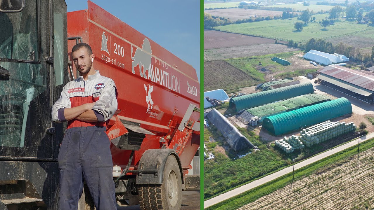 THIS IS MIMMO FARM🐮 | CARRO MISCELATORE ZAGO | INTERVISTA