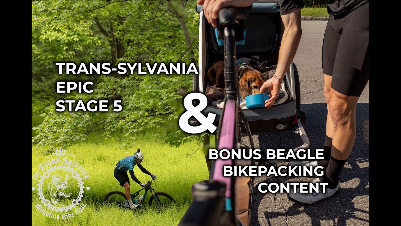2025 Trans-Sylvania Mountain Bike Epic | Stage 5 & BONUS BEAGLE BIKEPACKING CONTENT