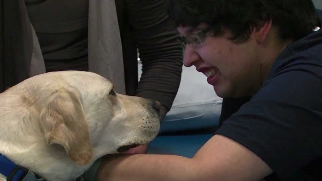 Therapy Dogs Helps Seattle Children's Patients Heal