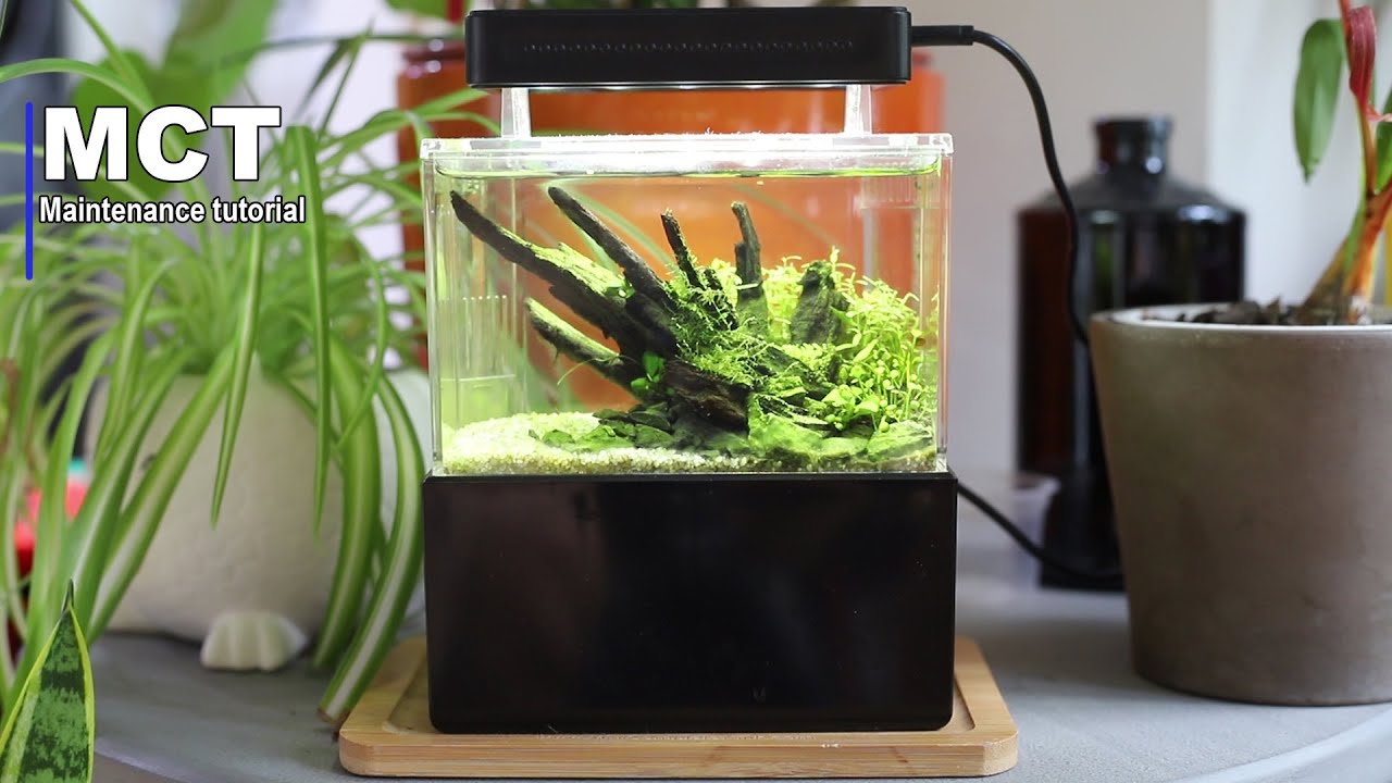 MINI COMPLETE TANK - Maintenance tutorial