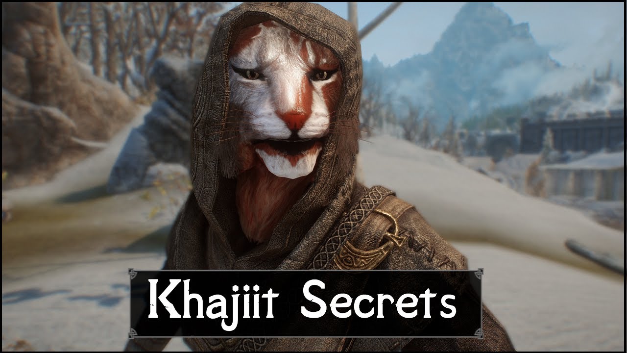 Skyrim: 5 фактов о каджитах, о которых вам никогда не рассказывали