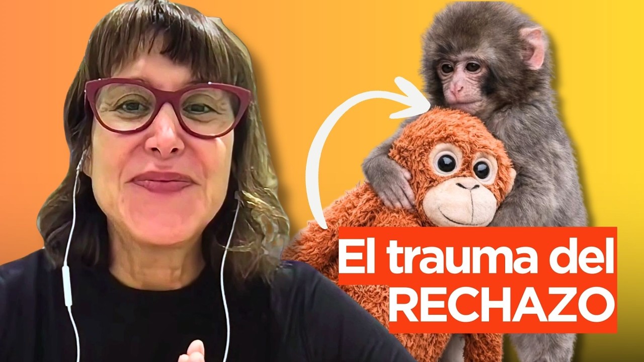 El fenómeno del monito PUNCH explicado