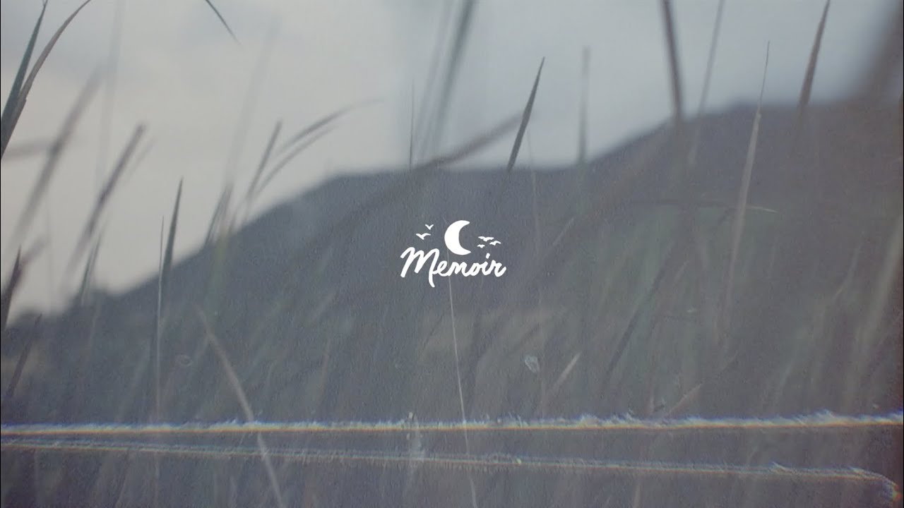 Bitter Blossom & another silent weekend - Sun Petal - relaxing ambient, lofi beats & indie chill 🌙