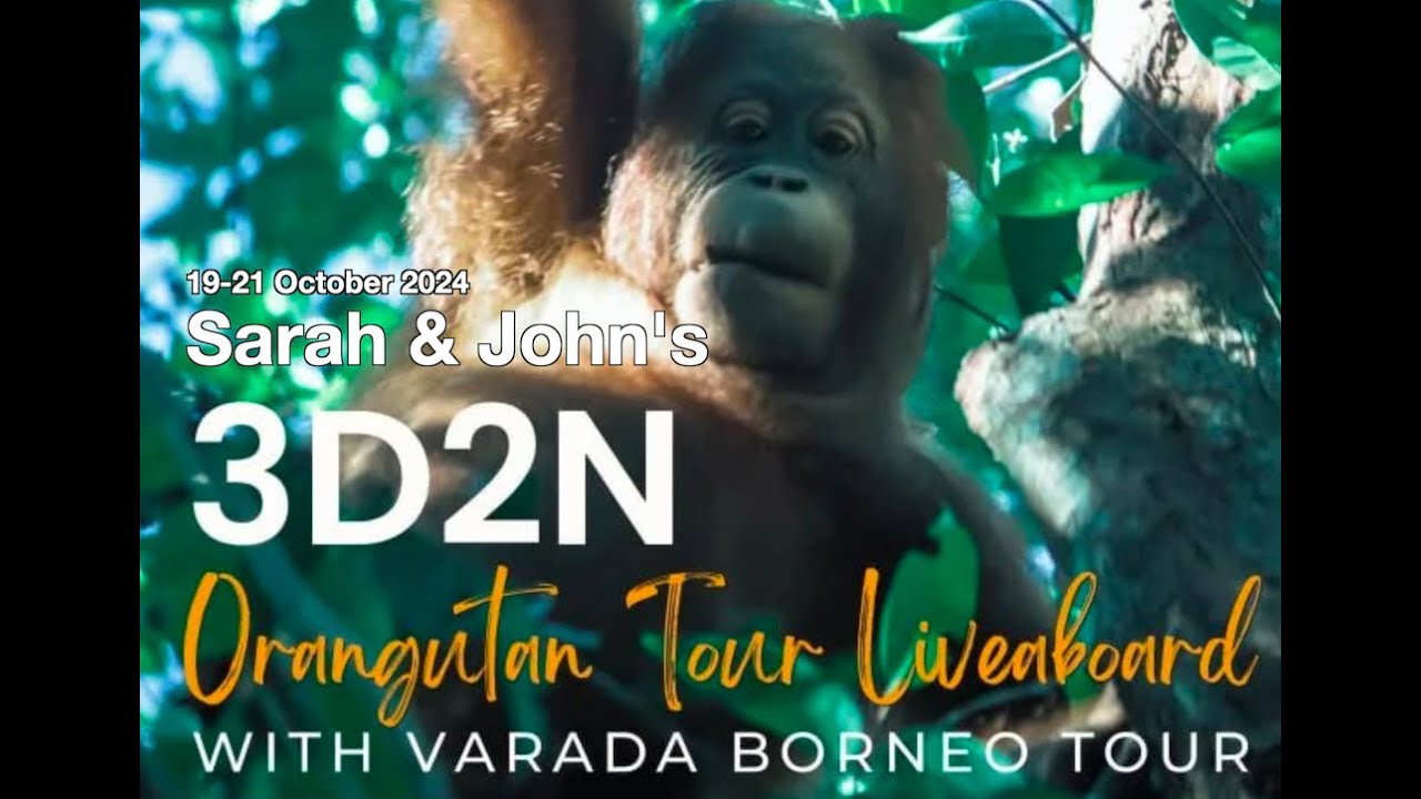 Sarah and John do the 3 days/2 nights Varada Borneo Live Aboard Orangutan tour!
