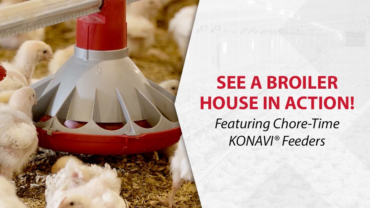 Chore-Time KONAVI® Feeder House Tour