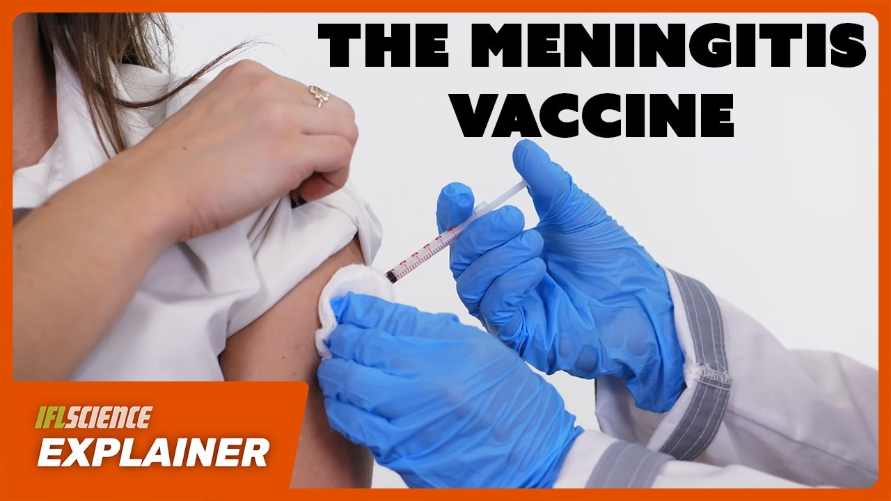 What You Need To Know About Meningitis Vaccines