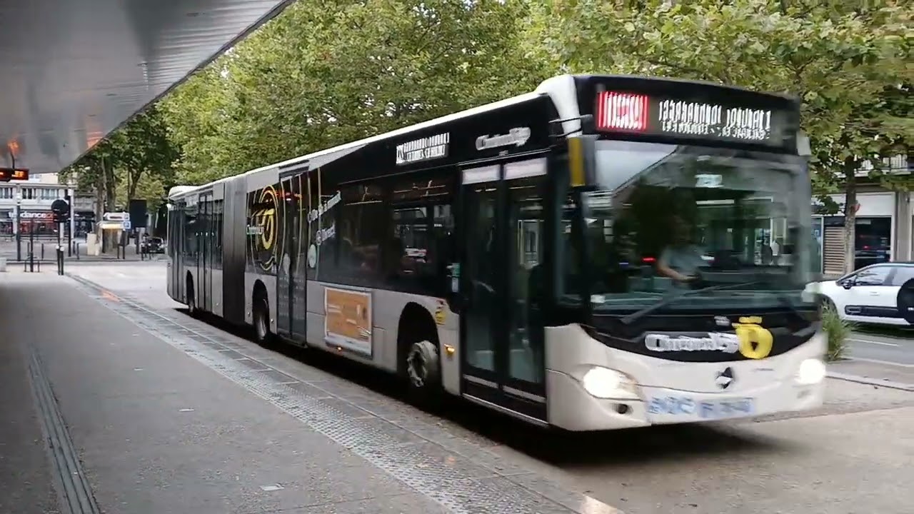 Des bus LiA dans le Centre du Havre + Tramway