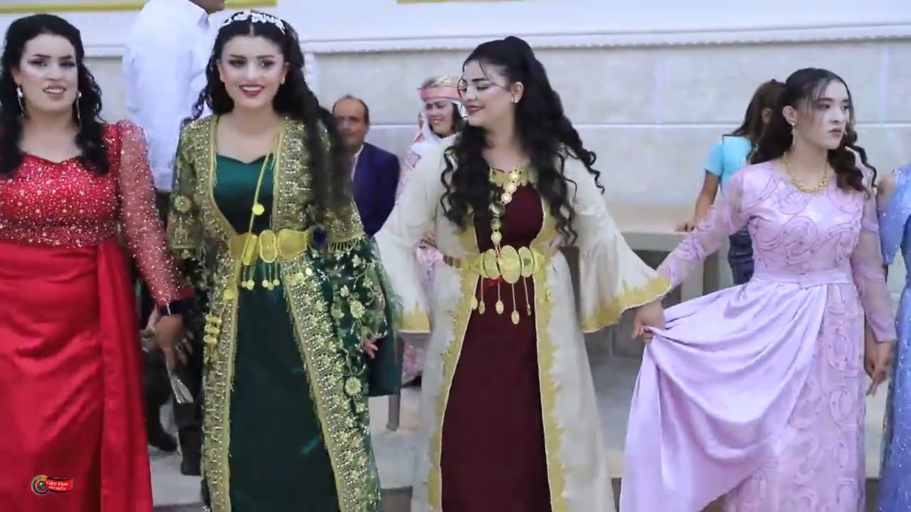 حفله#قرية #شيخ الغالي# العريس ديار #العروس وحيدة.  (3)