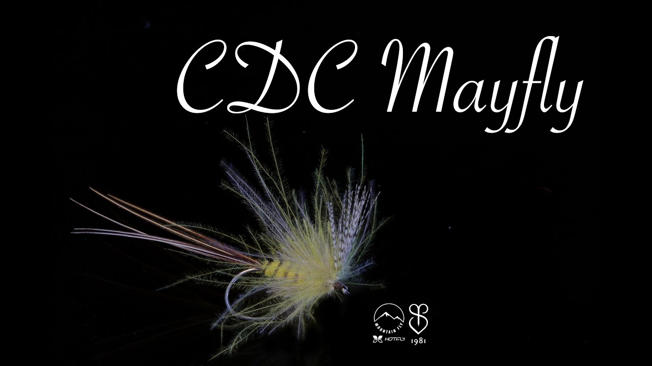 CDC Mayfly - Danica - Fly Tying - Mountainfly Fly Fishing