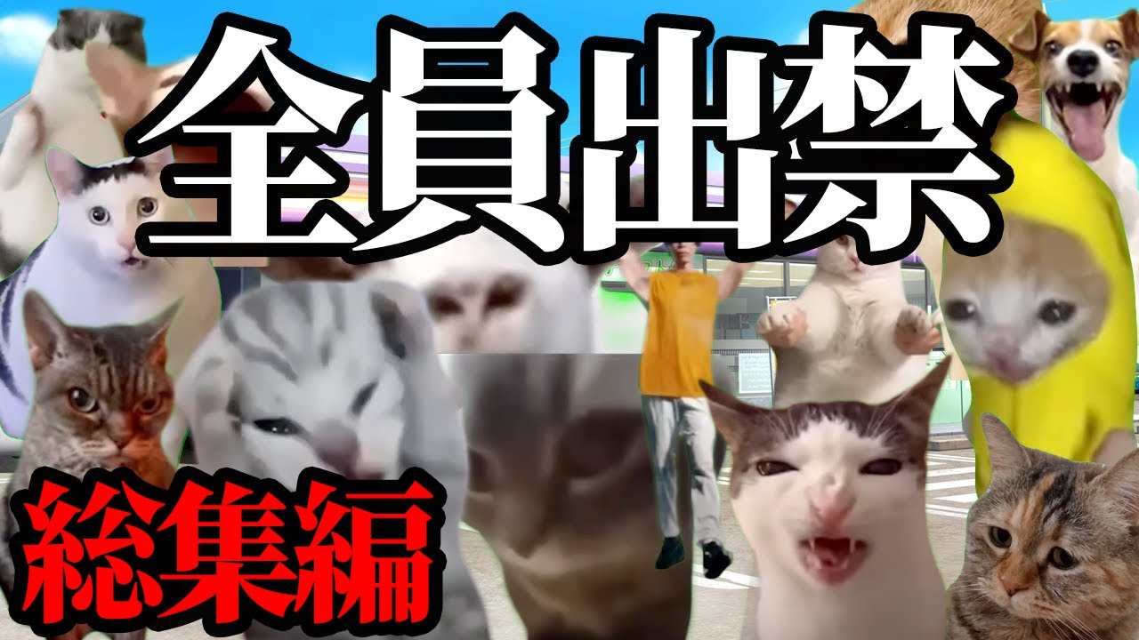 【コンビニ勤務・総集編】　コンビニ勤務で出会ったクレーマー＆地獄の労働記録#猫ミーム  #猫マニ