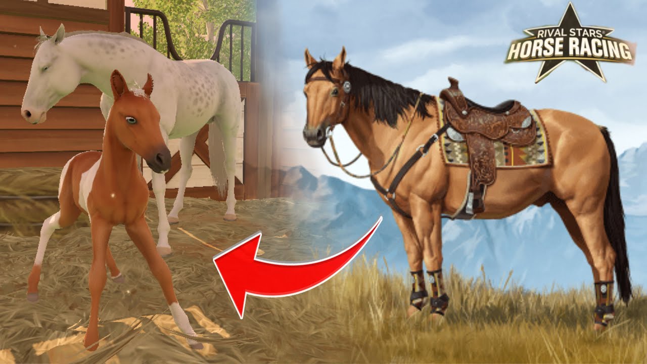AMERICAN QUARTER HORSE W RIVAL STARS HORSE!
