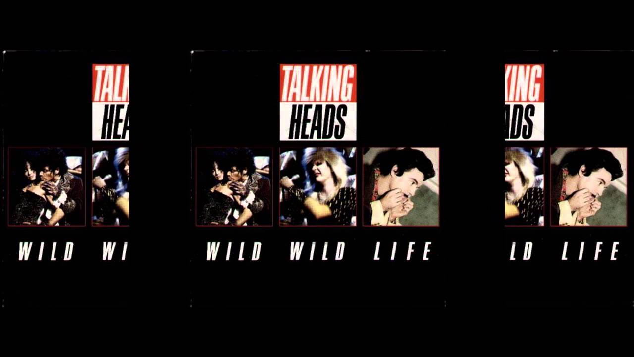 Talking Heads - Wild Wild Life (early demo)