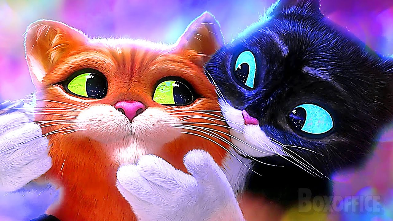 The Bravest Hero is a CUTE cat | Puss in Boots Movies Best Scenes ⚡ 4K