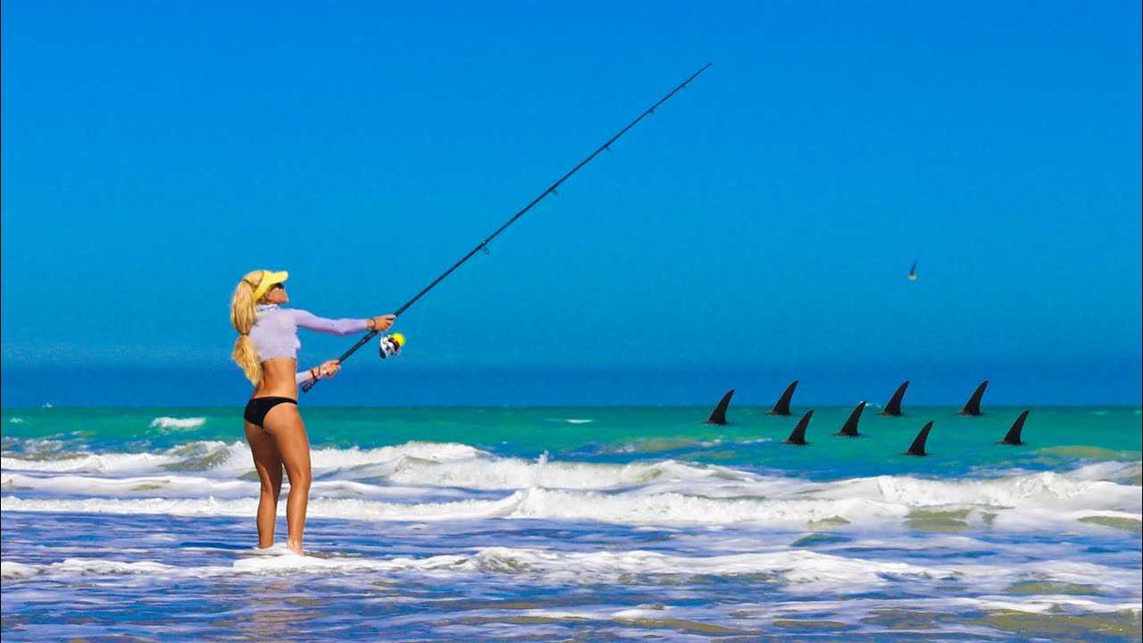 1000's of Sharks! BEACH FISHING for Sharks during the Blacktip Migration
