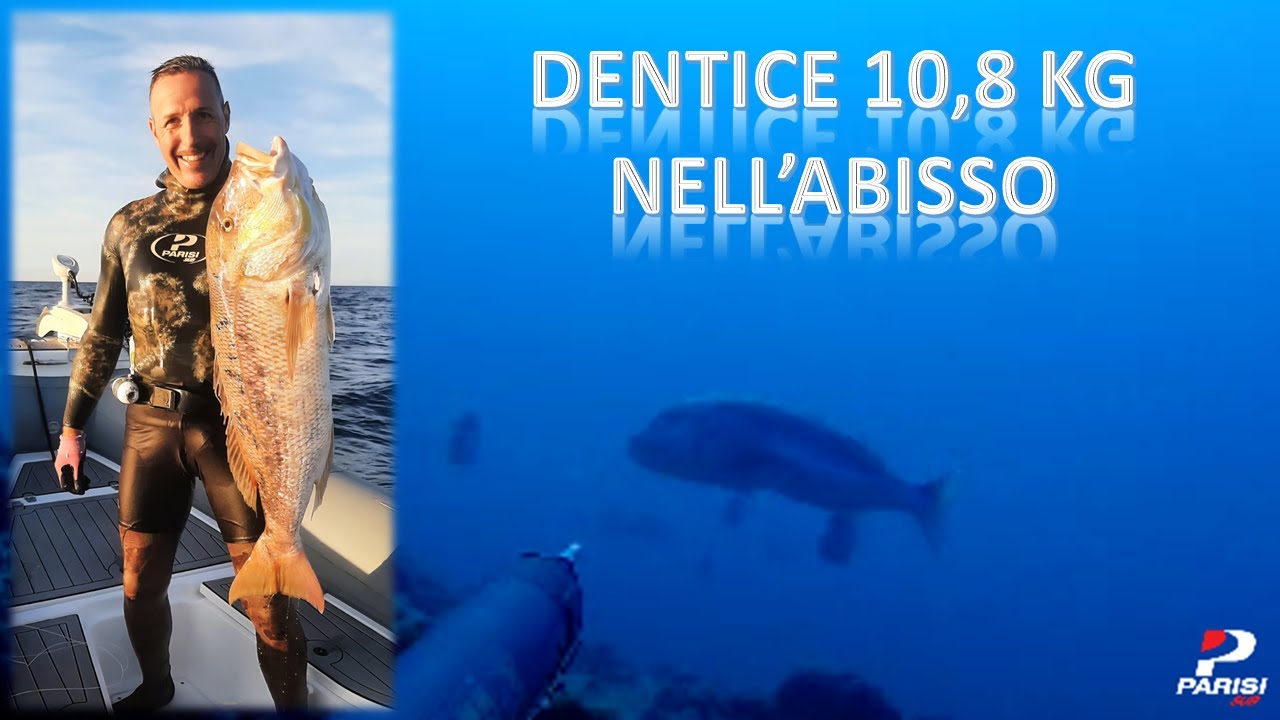 Super dentice di oltre 10 Kg nell'abisso