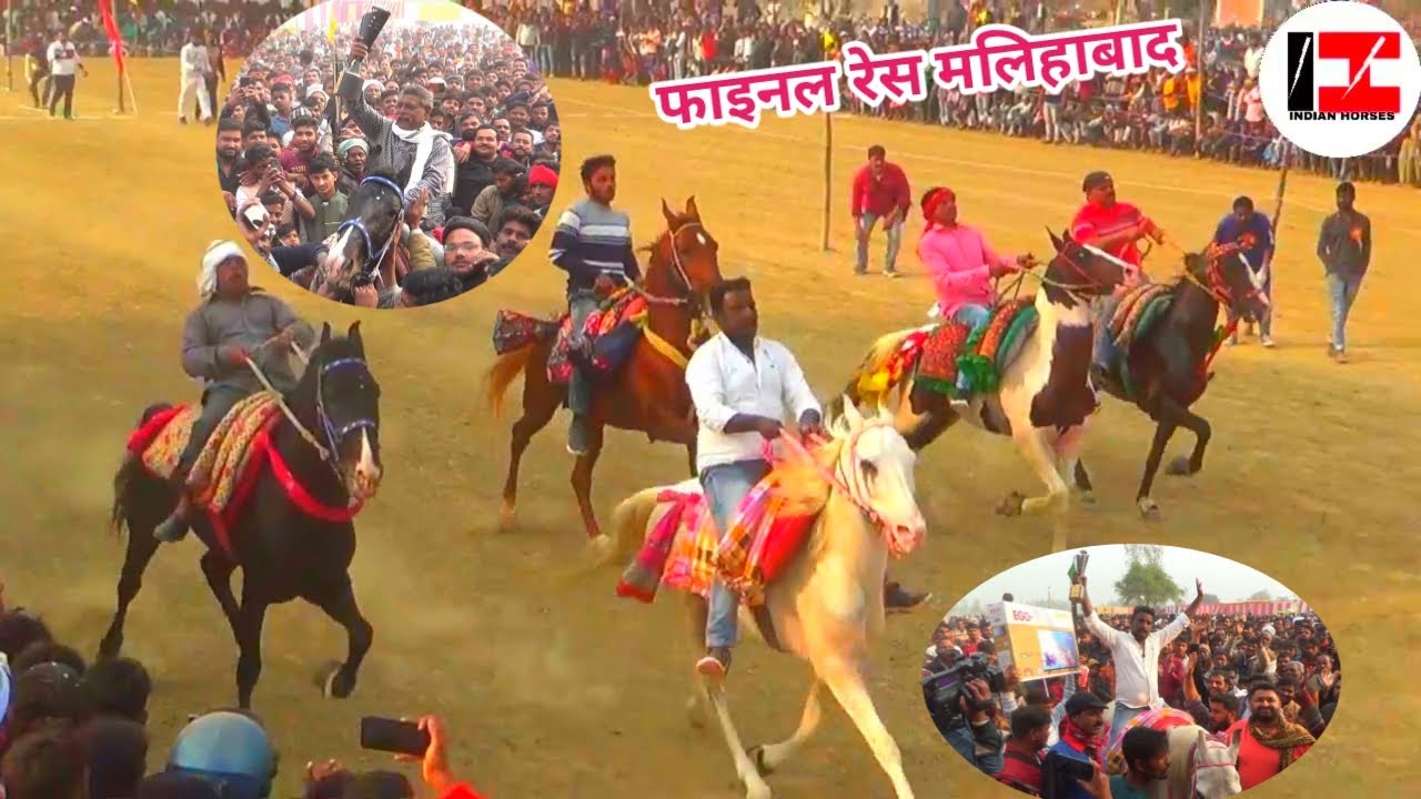 फाइनल रेस मलिहाबाद लखनऊ में हबीब सवार के नाम रही ट्रॉफी सलीम दूसरे और गोलू रहे तीसरे,गौस खान की रेस