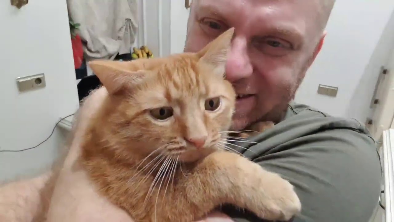 Новогодний стол без крас .