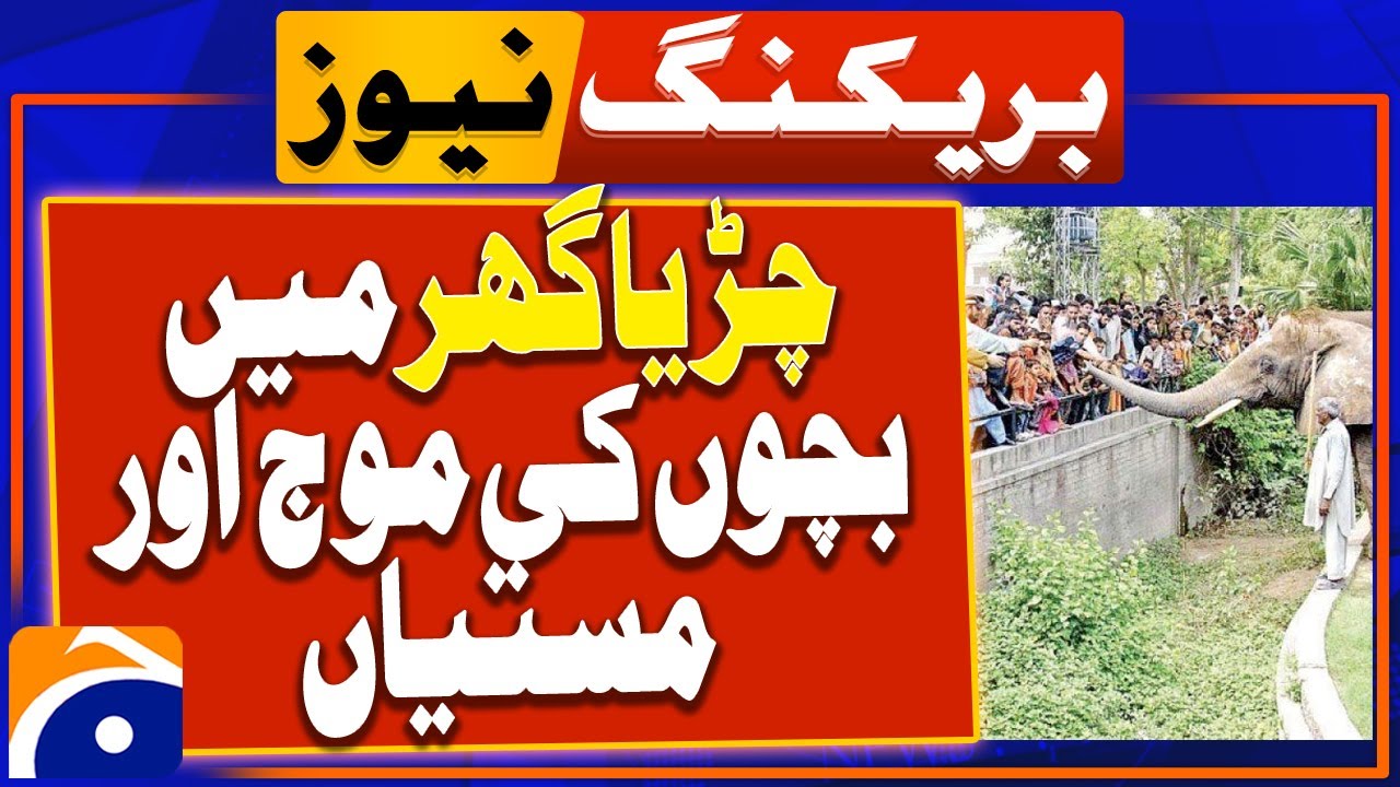 Eid-ul-Azha holidays - Lahore Zoo to Reopen for Public and Children on Eid | Geo News