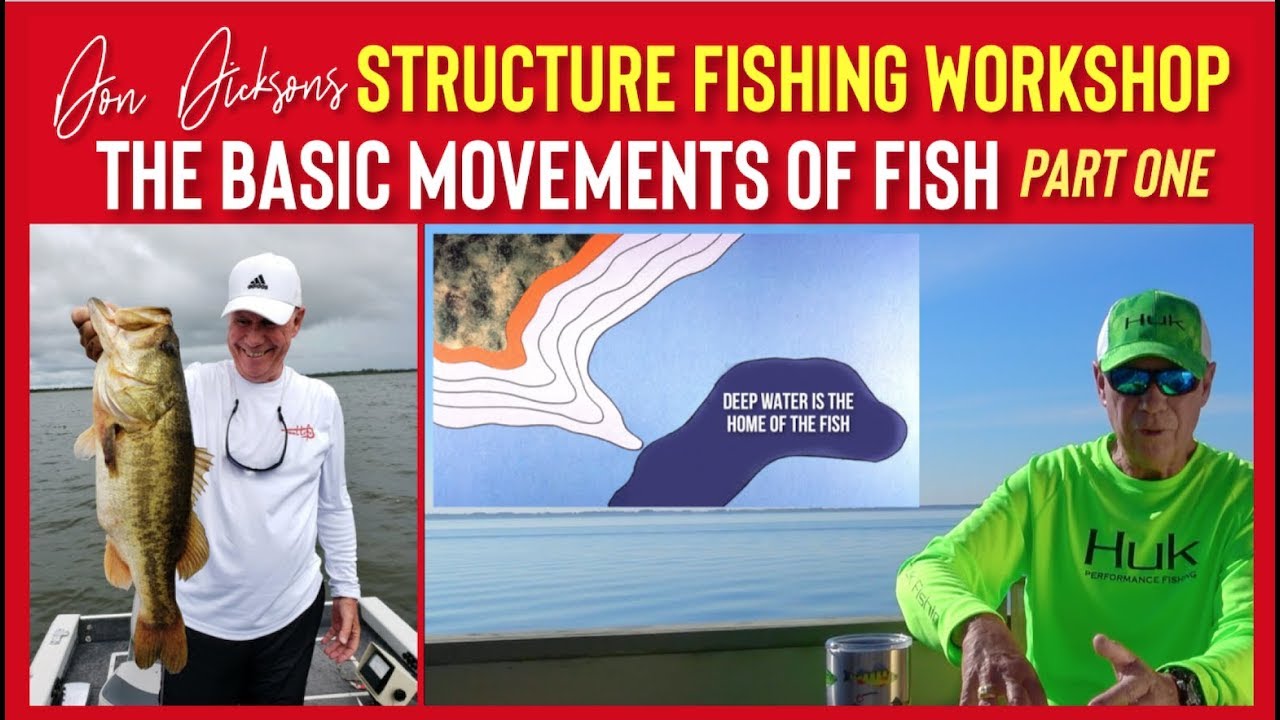 Don Dickson's STRUCTURE FISHING WORKSHOP - The Basic Movements of Fish