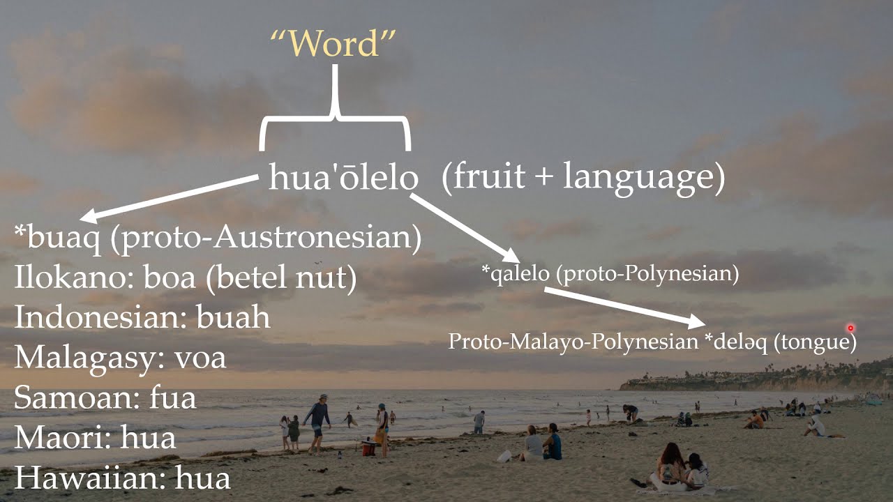Comparisons between Hawaiian and other Austronesian languages PART 1