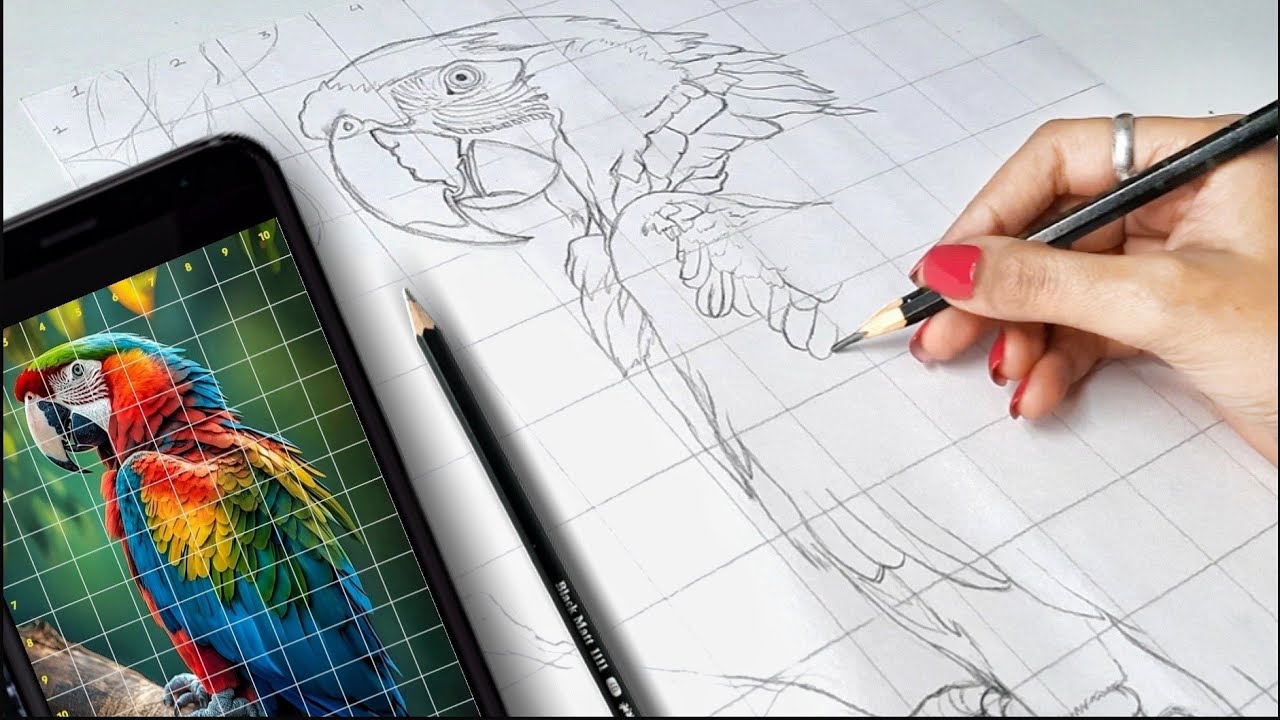 ✏️Part - 1 |  Macaw Parrot Drawing | Outline Drawing Tutorial  | Part - 1