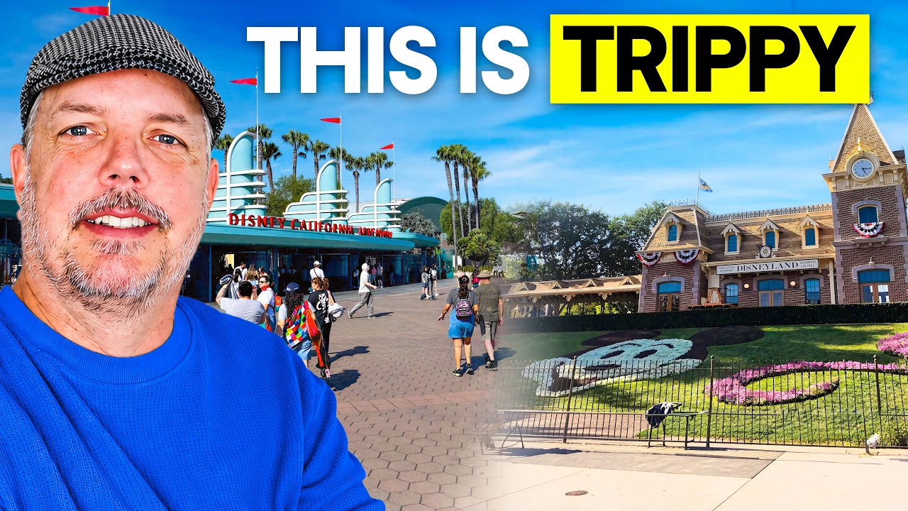 Правила &laquo;ПАРК ХОППИНГА&raquo; в Disney отменены! Смотрите, как это работает!
