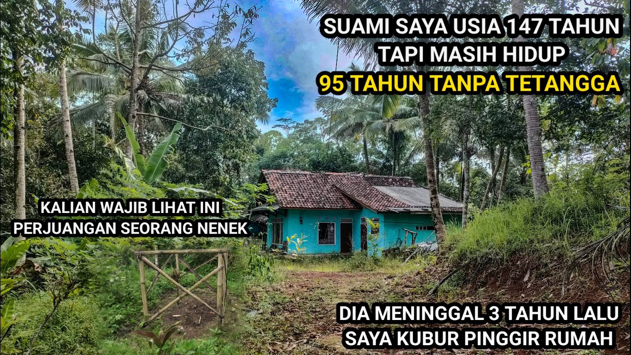 PEMBERANI NENEK INI TINGGAL SENDIRI DI TENGAH HUTAN DENGAN SUAMI NYA YANG SUDAH MENINGGAL