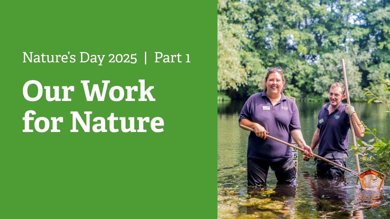 Our Work for Nature - Nature's Day 2025 Part 1 | Suffolk Wildlife Trust