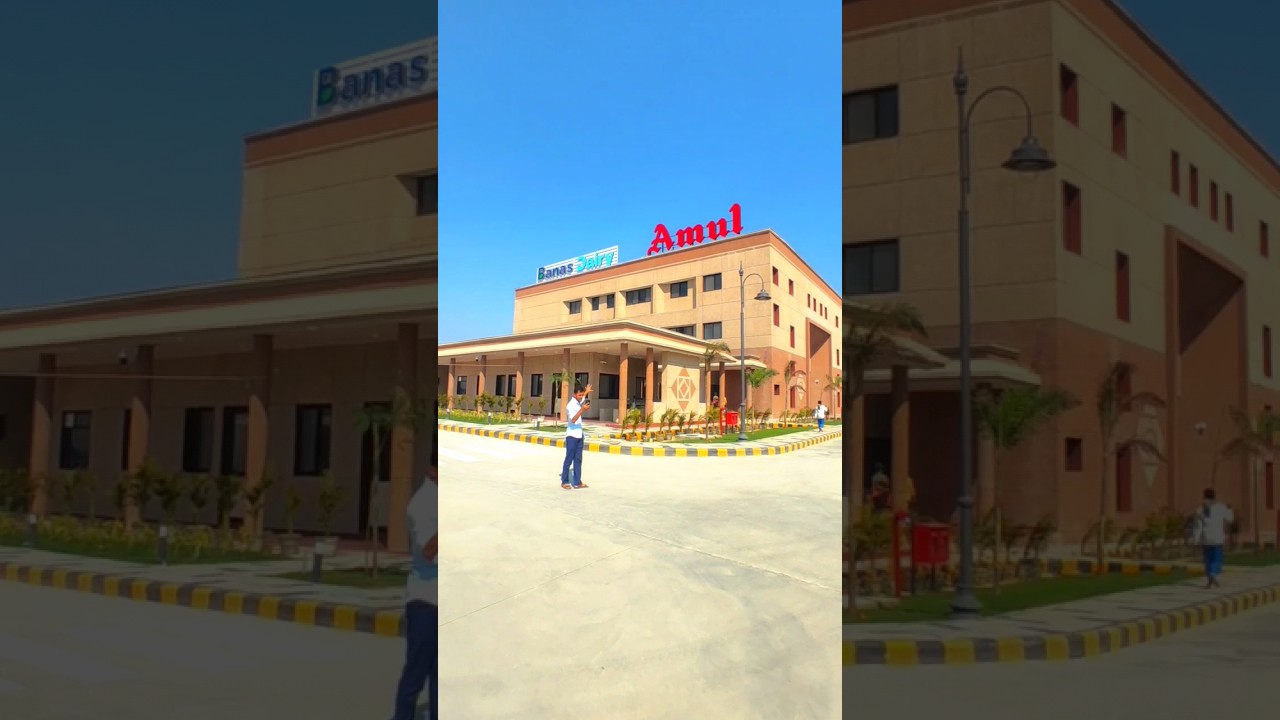 Amul dhud plant 🍃😍 #minivlog #like #shorts #subscribe #support #share