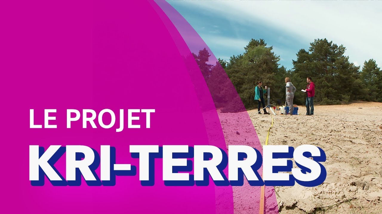 Kri-Terres  : Combinaison du krigeage et de simulations de transport réactif