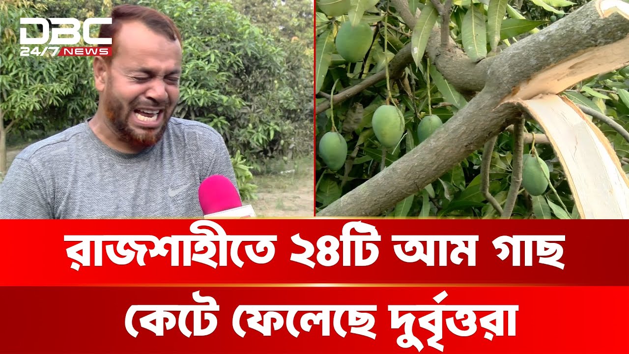 কী দোষ ছিল আম গাছগুলোর! কেন এমন শত্রুতা? | DBC NEWS