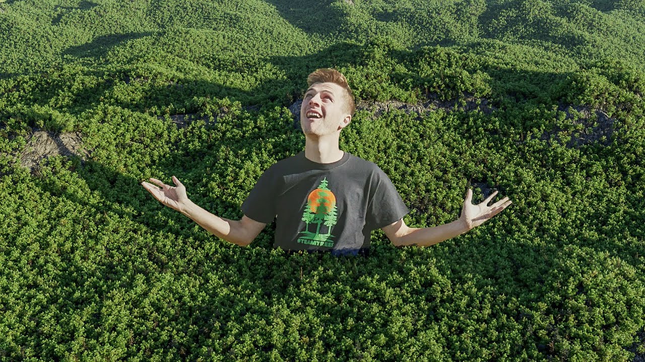 VFX Artist Creates 20,000,000 Trees with CGI
