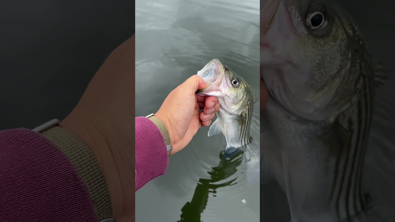 does bass fishing in Massachusetts suck? 