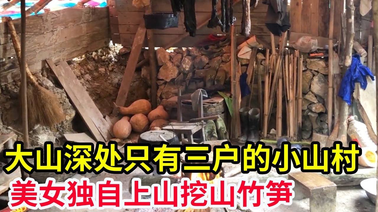 大山深处只有三户的小山村，美女独自上山挖山竹笋，一天能挖近百斤！【山农乐哥】