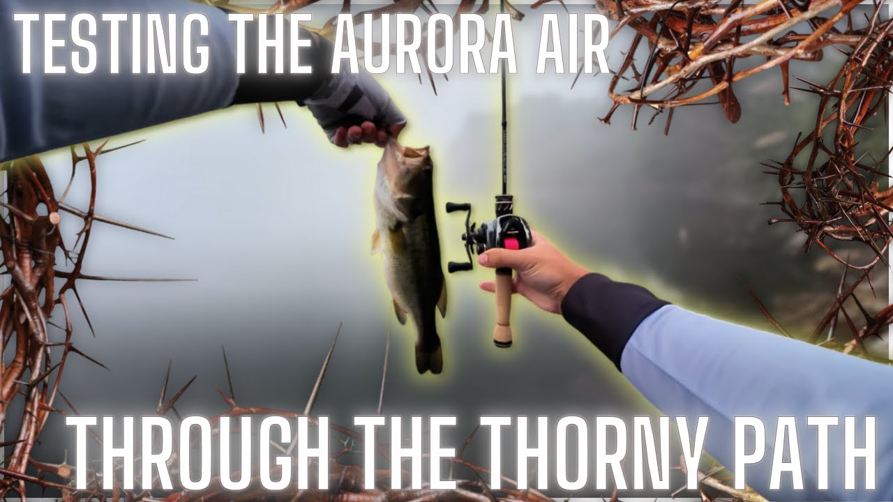 Histar Aurora Air - Best Budget BFS Reel Right Now? 35$
