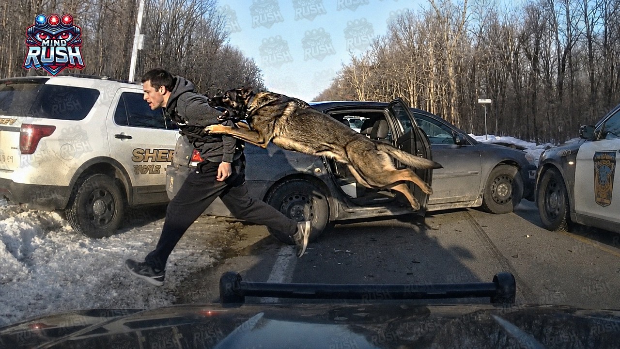 Holy Sh*t&hellip; Wildest Police Dashcam Moments So Crazy You&rsquo;d Think They&rsquo;re Fake!