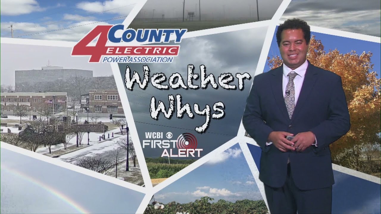 Weather Whys: Лесные пожары 16.08.2026