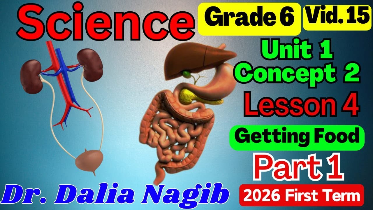 ساينس سادسة ابتدائى ترم اول  𝐆𝐫𝐚𝐝𝐞 6 Science 𝐂𝐨𝐧𝐜𝐞𝐩𝐭 2️⃣ 𝐋𝐞𝐬𝐬𝐨𝐧 4   part 1