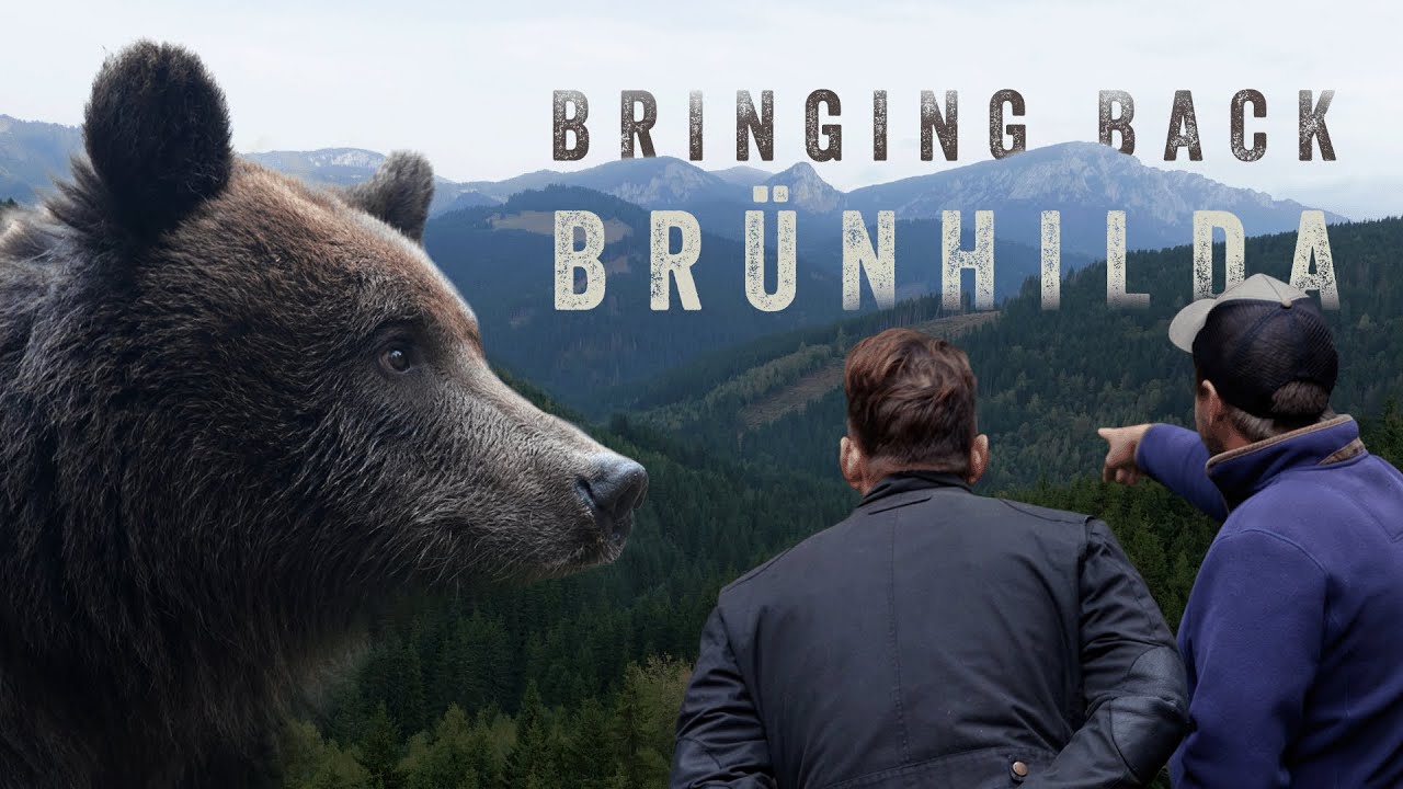 Bringing Back Brünhilda - A Jimmy's Farm Story