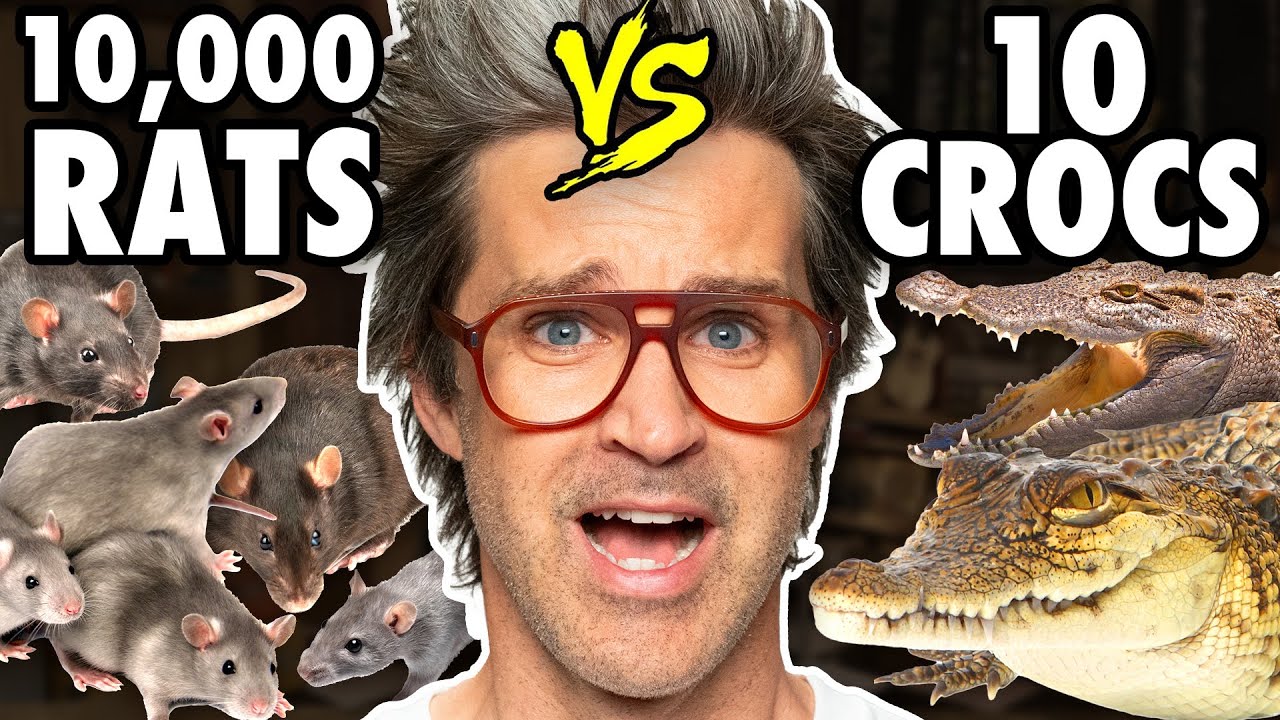 Which Animal Would Win In A Fight?