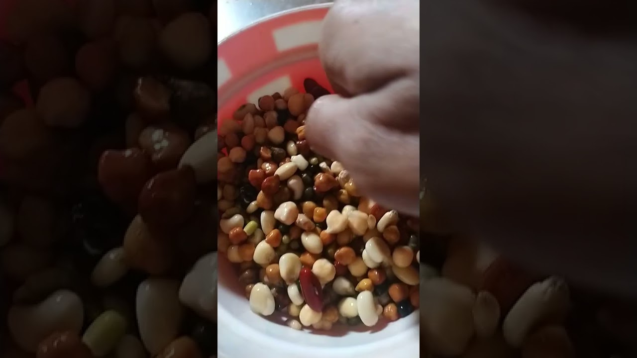 How to mix seeds for grey parrot | best seeds | grey macaw cockatoo pahari tota raw  and other birds