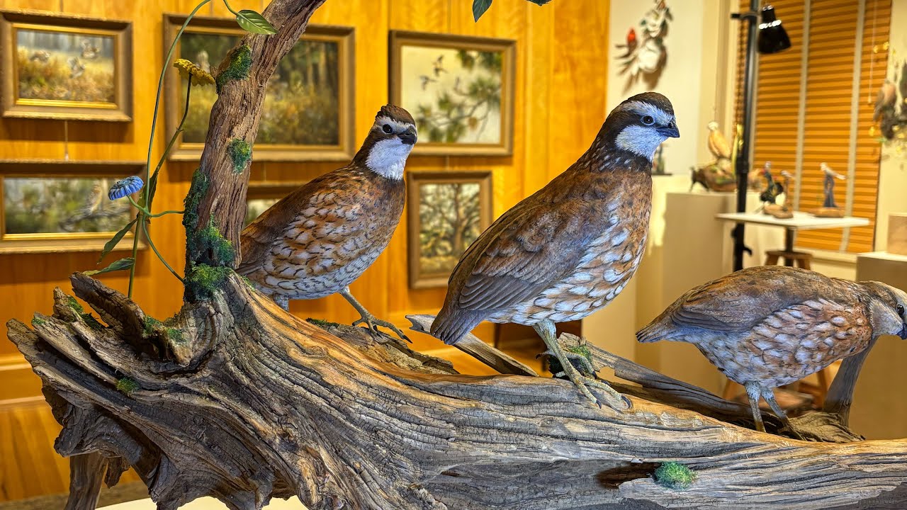 Featured Wildlife Artists Thomas Brooks & Chris Wilson Solo Art Exhibition 