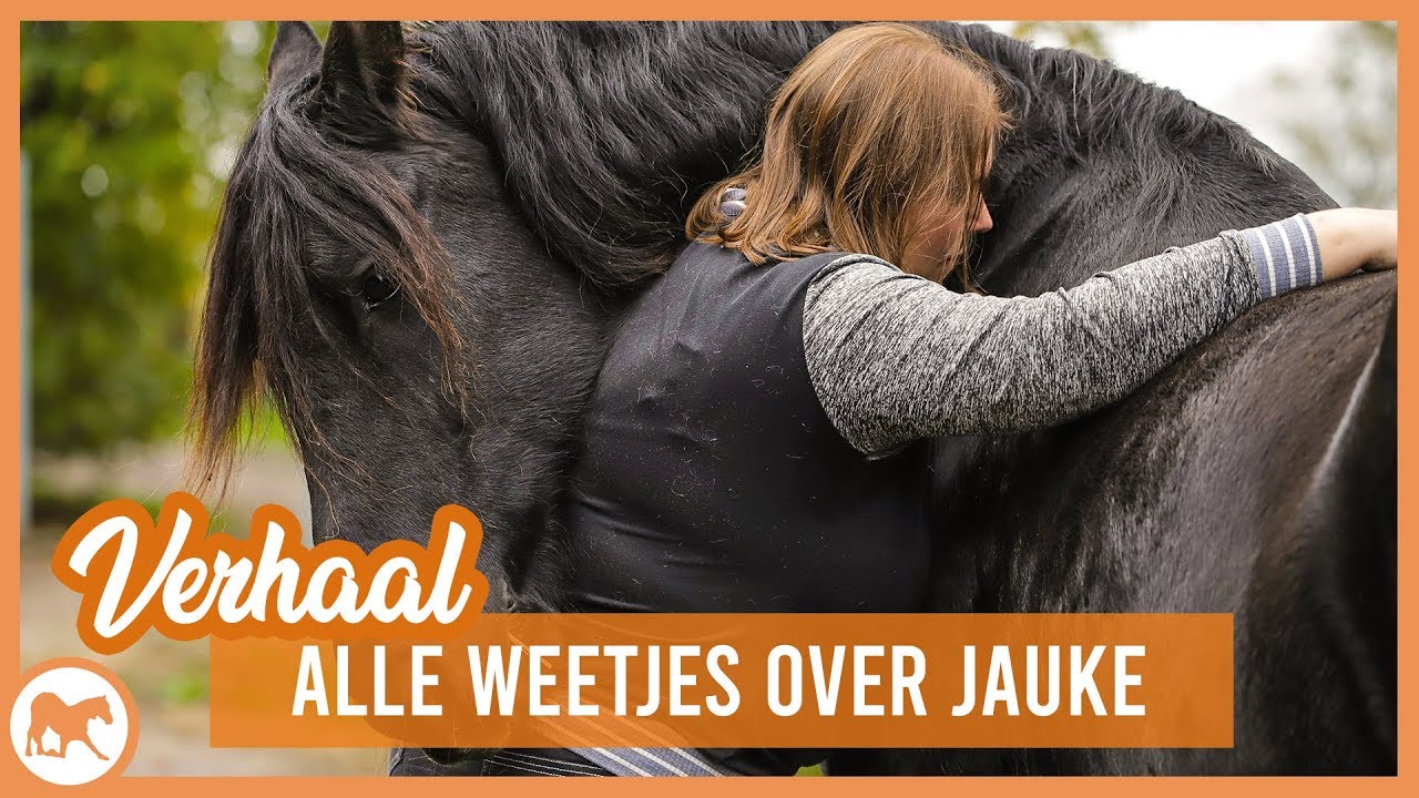 Het verhaal van Jauke!